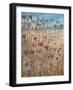 Dark Scabious-Lincoln Seligman-Framed Giclee Print