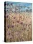 Dark Scabious-Lincoln Seligman-Stretched Canvas