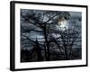 Dark Shadows-Katherine Sanderson-Framed Photographic Print