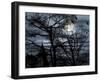 Dark Shadows-Katherine Sanderson-Framed Photographic Print