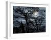 Dark Shadows-Katherine Sanderson-Framed Photographic Print