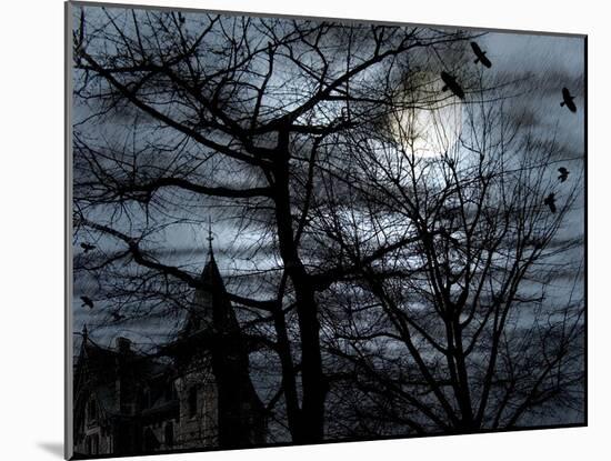 Dark Shadows-Katherine Sanderson-Mounted Photographic Print