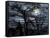 Dark Shadows-Katherine Sanderson-Framed Stretched Canvas