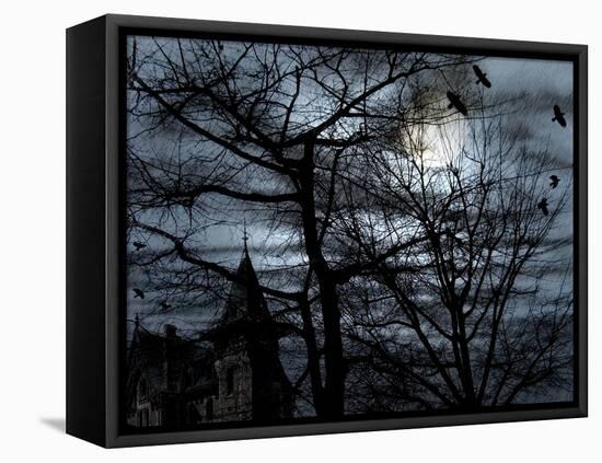 Dark Shadows-Katherine Sanderson-Framed Stretched Canvas