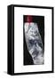 Dark Shroud, 2009-Graham Dean-Framed Stretched Canvas