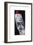 Dark Shroud, 2009-Graham Dean-Framed Giclee Print