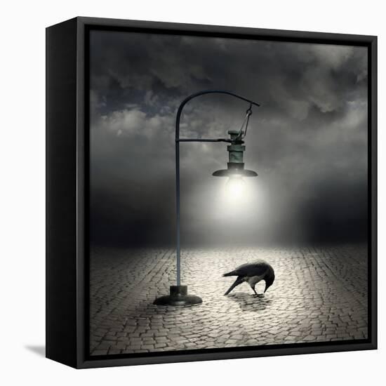 Dark Side-ValentinaPhotos-Framed Stretched Canvas