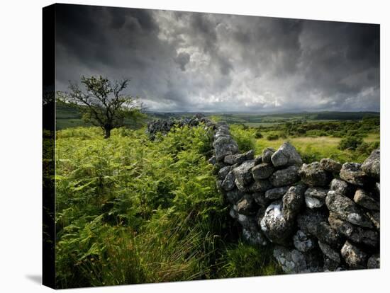 Dark Storm Clouds Above Stone Wall Near Combestone Tor, Devon, Dartmoor Np, UK-Ross Hoddinott-Stretched Canvas