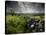 Dark Storm Clouds Above Stone Wall Near Combestone Tor, Devon, Dartmoor Np, UK-Ross Hoddinott-Stretched Canvas