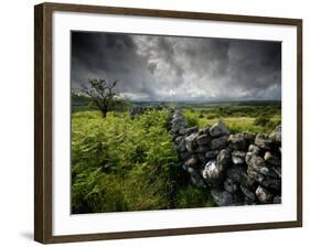 Dark Storm Clouds Above Stone Wall Near Combestone Tor, Devon, Dartmoor Np, UK-Ross Hoddinott-Framed Photographic Print