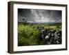 Dark Storm Clouds Above Stone Wall Near Combestone Tor, Devon, Dartmoor Np, UK-Ross Hoddinott-Framed Photographic Print