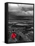 Dark storm clouds over Dead Horse Point State Park with girl in red dress standing near the cliff-David Chang-Framed Stretched Canvas