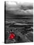 Dark storm clouds over Dead Horse Point State Park with girl in red dress standing near the cliff-David Chang-Stretched Canvas
