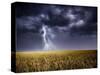 Dark Stormy Clouds over a Field-ongap-Stretched Canvas