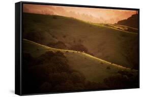 Dark Sunrise Hills in Spring, Bay Area, Northern California-Vincent James-Framed Stretched Canvas