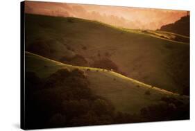 Dark Sunrise Hills in Spring, Bay Area, Northern California-Vincent James-Stretched Canvas