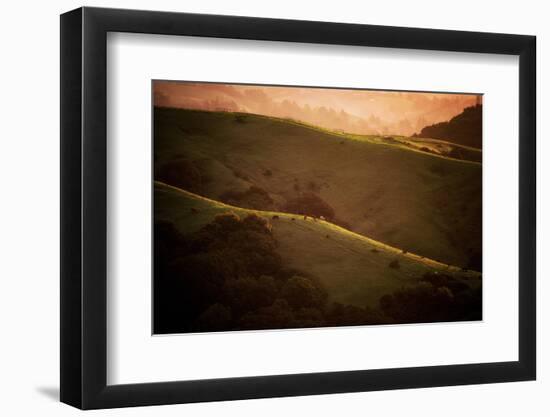 Dark Sunrise Hills in Spring, Bay Area, Northern California-Vincent James-Framed Photographic Print