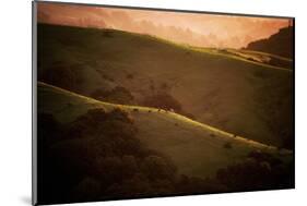 Dark Sunrise Hills in Spring, Bay Area, Northern California-Vincent James-Mounted Photographic Print