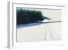 Dark Trees & Snow, 2011-Charles Simpson-Framed Giclee Print