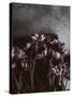 Dark Tulips-Design Fabrikken-Stretched Canvas