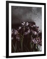 Dark Tulips-Design Fabrikken-Framed Photographic Print