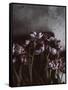 Dark Tulips-Design Fabrikken-Framed Stretched Canvas