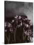 Dark Tulips-Design Fabrikken-Stretched Canvas