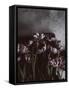 Dark Tulips-Design Fabrikken-Framed Stretched Canvas