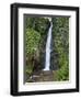 Dark View Falls, St. Vincent, St. Vincent and the Grenadines, Windward Islands-Michael DeFreitas-Framed Photographic Print