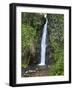 Dark View Falls, St. Vincent, St. Vincent and the Grenadines, Windward Islands-Michael DeFreitas-Framed Photographic Print