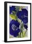 Dark Violetti Flowers II-Lanie Loreth-Framed Art Print