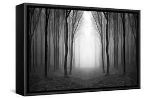 Dark Woods-PhotoINC-Framed Stretched Canvas