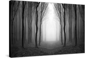 Dark Woods-PhotoINC-Stretched Canvas