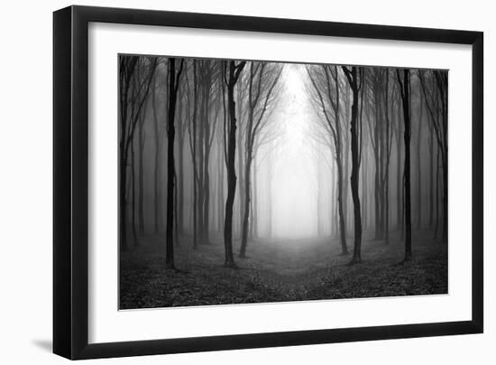 Dark Woods-PhotoINC-Framed Premium Photographic Print