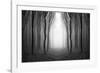 Dark Woods-PhotoINC-Framed Photographic Print