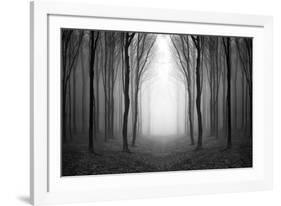 Dark Woods-PhotoINC-Framed Photographic Print