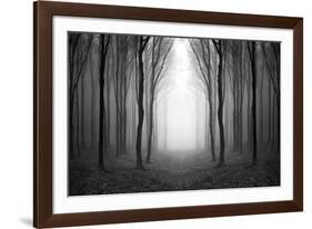 Dark Woods-PhotoINC-Framed Photographic Print