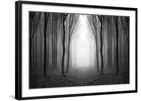 Dark Woods-PhotoINC-Framed Photographic Print