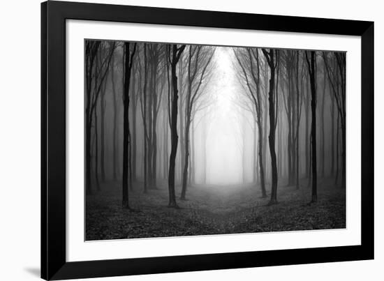 Dark Woods-PhotoINC-Framed Photographic Print