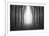 Dark Woods-PhotoINC-Framed Photographic Print