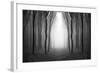 Dark Woods-PhotoINC-Framed Photographic Print