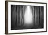 Dark Woods-PhotoINC-Framed Photographic Print