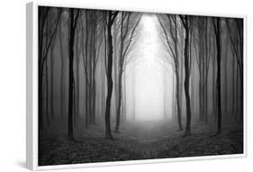 Dark Woods-PhotoINC-Framed Photographic Print