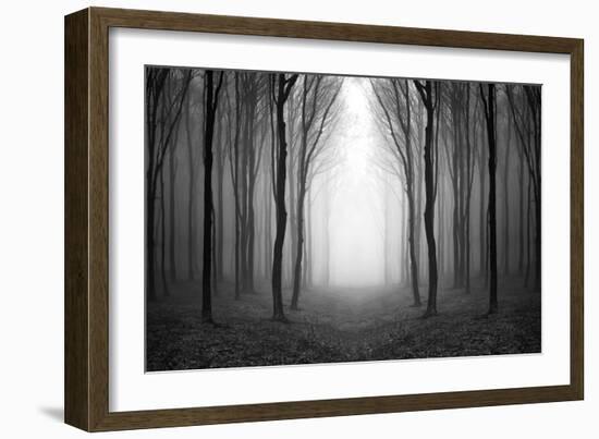 Dark Woods-PhotoINC-Framed Photographic Print