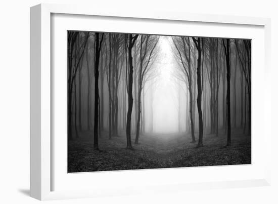 Dark Woods-PhotoINC-Framed Photographic Print