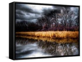 Dark Youth-Stephen Arens-Framed Stretched Canvas