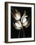 Darkness and Light-Kari Taylor-Framed Giclee Print