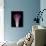 Darkness E1 - Purple Morning Glory Opening-Doris Mitsch-Photographic Print displayed on a wall