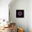 Darkness E3 - Purple Morning Glory Bud-Doris Mitsch-Framed Stretched Canvas displayed on a wall