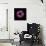 Darkness E3 - Purple Morning Glory Bud-Doris Mitsch-Photographic Print displayed on a wall